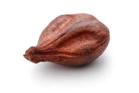 Single grape seed on white background Stock Photos