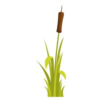 Single green bulrush growing by the pond Stock Illustration