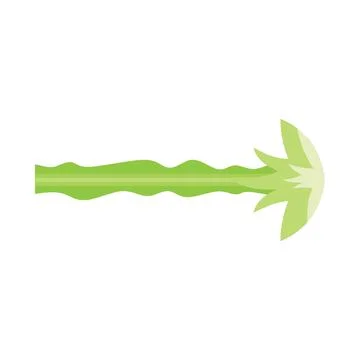 Single green celery stalk pointing right on white background Stock Illustration