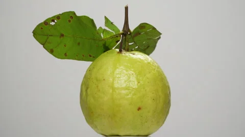 Single Green Guava Fruit with Leaf Spinning 360 Loop Isolated on White Stock Footage 319955957
