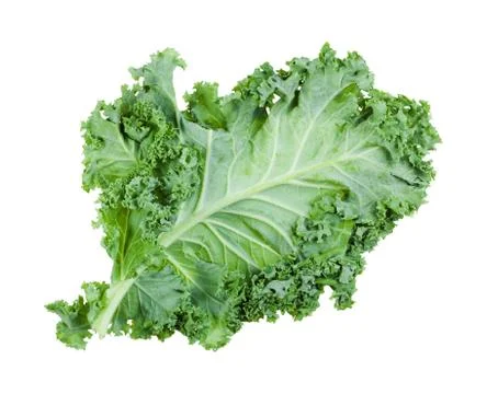Single green leaf of curly-leaf kale isolated Stock Photos