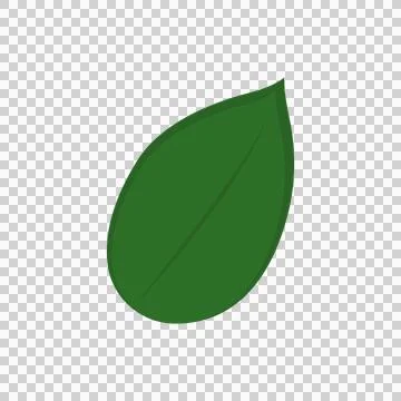 Single green leaf icon isolated on transparent backdrop. 스톡 일러스트