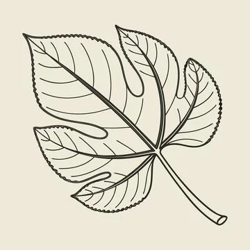 Single Green Leaf Vector with Smooth Geometric Shape Design Stock Illustration