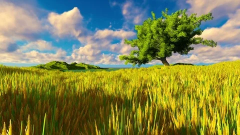 Single green tree on a beautiful day Stock Footage 70106332