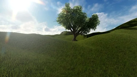 Single green tree on hill Stock Footage 105783372