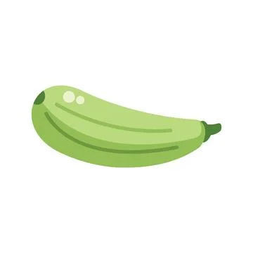Single green zucchini is lying on a white background Stock Illustration