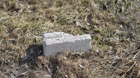Single grey brick lying on dry yellow grass in sunlight Stock Footage 332433390