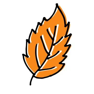 Single hand drawn birch leaf for autumn decoration Stock Illustration