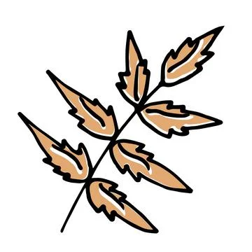 Single hand drawn leaf for autumn decoration Stock Illustration