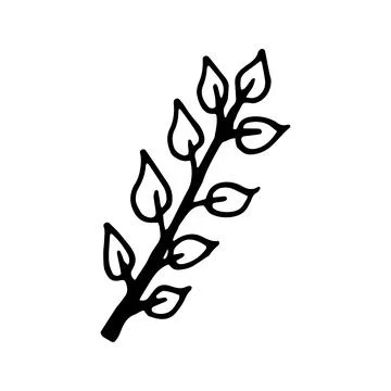 Single hand drawn leaf for winter and autumn decoration. Doodle Stock Illustration
