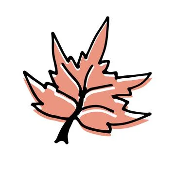 Single hand drawn maple leaf for autumn decoration Stock Illustration