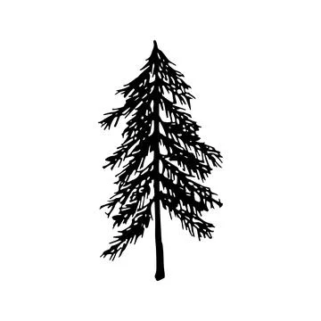 Single hand drawn New Year and Xmas pine tree. Doodle vector ill Illustrazione stock