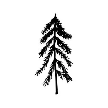 Single hand drawn New Year and Xmas pine tree. Doodle vector ill Stock Illustration