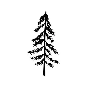 Single hand drawn New Year and Xmas pine tree. Doodle vector ill Stock Illustration