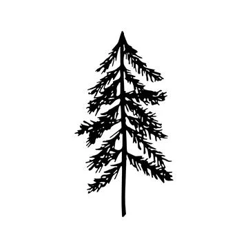 Single hand drawn New Year and Xmas pine tree. Doodle vector ill Stock Illustration