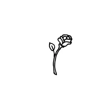 Single hand drawn rose, Isolated on white background. Stockillustratie