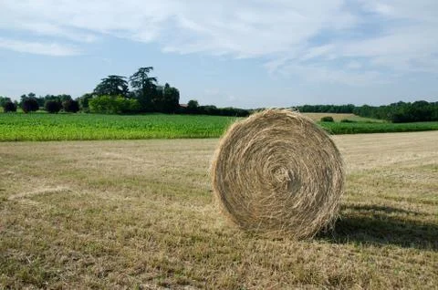 Single haybale Stock Photos