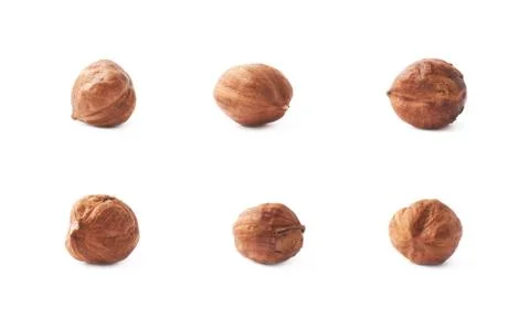 Single hazelnut isolated Stock Photos