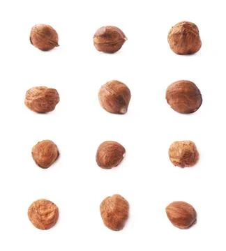Single hazelnut isolated Stock Photos
