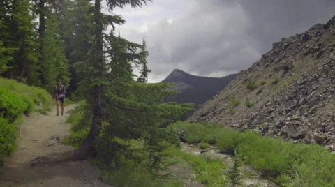 Single hiker on trail Stock Footage 59083312
