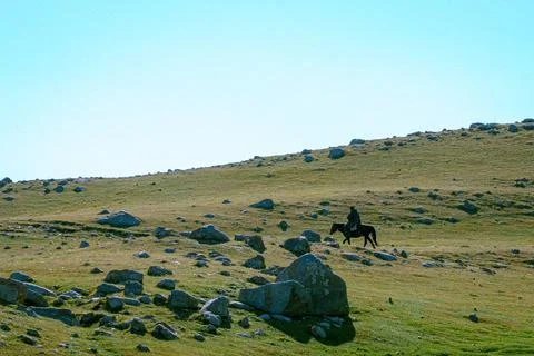 Single horseback rider navigating rugged, sunlit hillside with scattered stones Stock Photos
