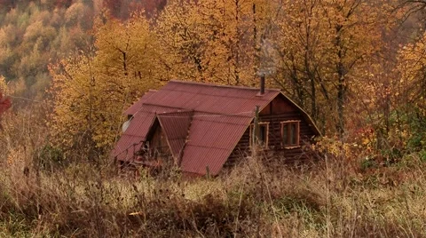 Single house in the autumn forest Stock Footage 69055848
