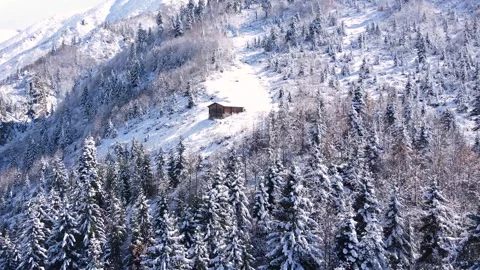 Single House In The Snow Covered Forest Stock-Footage 333121284