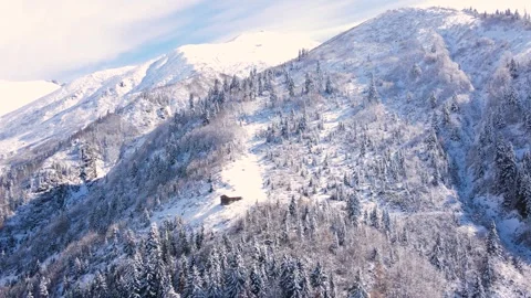 Single House in the Snowy Forest Stock Footage 332943222