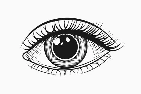 Single human eye with lashes. Direct camera look. Stock Illustration