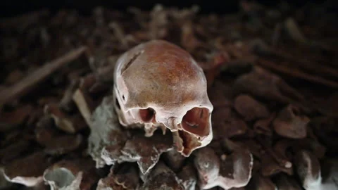 Single Human Skull on Pile of Bones in Paris Ossuary Close-Up Stock Footage 346920190