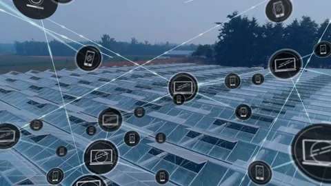 Single icon appearing, nodes expanding and connecting over greenhouse roofs, Stock Footage 330160801