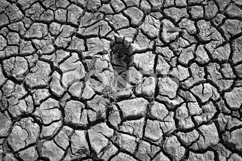 Single imprint of a bare human foot on a cracked dry muddy underground Stock Photos
