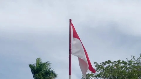 Single Indonesian Flag on Red and White Bamboo pole cloud and tree background Stock Footage 220776913