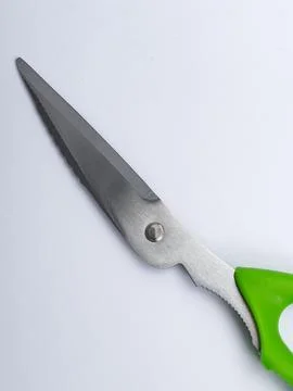 Single kitchen scissors close-up Fotos de archivo
