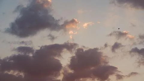 Single Kite Flying in Sunset Clouds and Sky Stock Photos