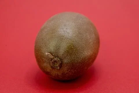 A single kiwi fruit sits on a red background. Stock Photos