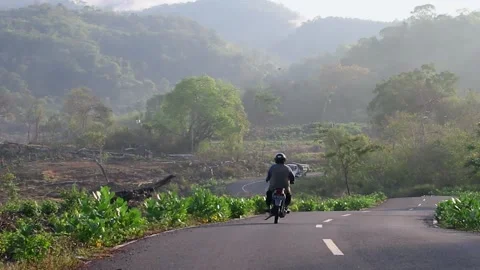 Single Lane Road Through Forest Stock Footage 206898527