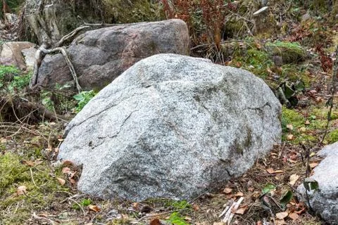 Single large boulder in the forest Stock Photos