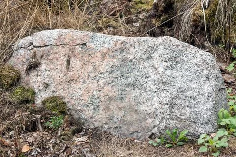 Single large boulder in the forest Stock Photos