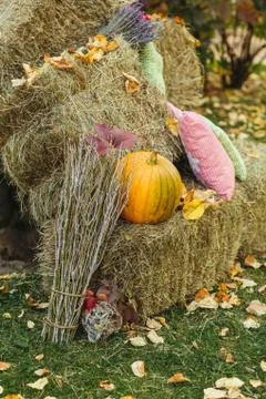 Single large classic orange pumpkin on haystack with autumn foliage 库存照片