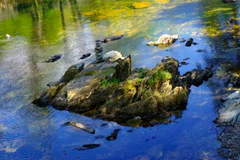 Single Large Rock in Stream Stock Photos