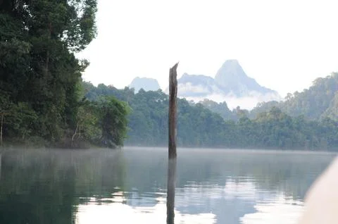 Single large tree remains in large lake of Khao sok national park, still waters Stock Photos