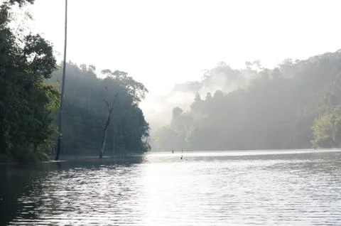 Single large tree remains in large lake of Khao sok national park, still waters Stock Photos
