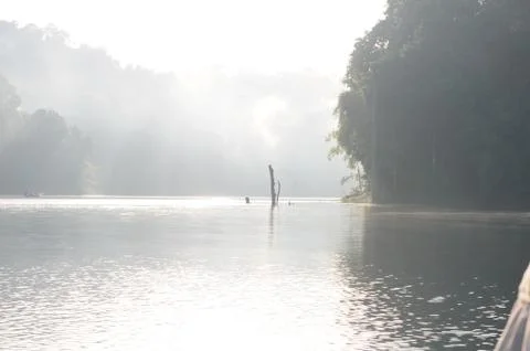 Single large tree remains in large lake of Khao sok national park, misty dramati Stock Photos