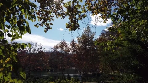 Single leaf falling in the lake in autumn Stock Footage 153811932