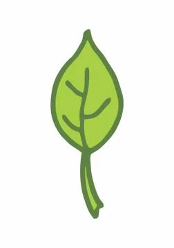 Single leaf freehand illustration Stock Illustration
