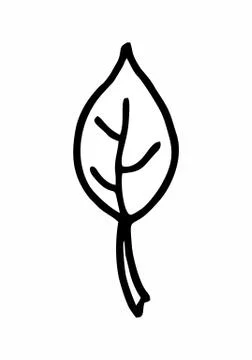 Single leaf freehand illustration Stock Illustration
