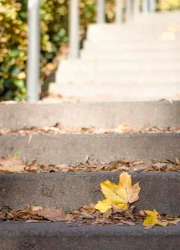 Single leaf standing its ground on a stairway in autumn Stock Photos