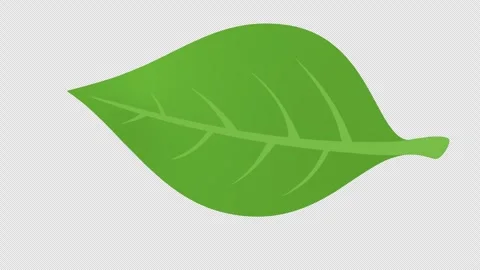 Single leaf swaying on transparent background with alpha channel. Video stock 304726412