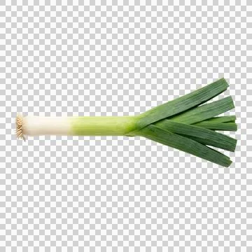 Single leek with white stem and green leaves on transparent background. Stock Photos